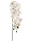 43” Phalaenopsis Orchid with 12 Flowers – White (Set of 3) | Real Touch Artificial Orchids for Home & Office Décor